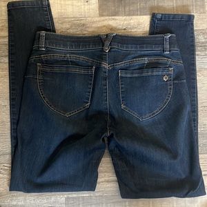 Democracy Ab Technology dark wash skinny Jean